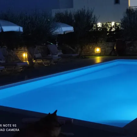 Sunset And For Adults Over 21 Only * ناوسا