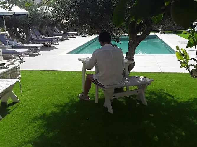 Sunset And For Adults Over 21 Only Lejlighed *