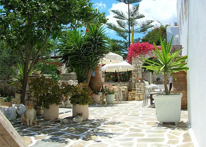 Lejlighed Sunset And For Adults Over 21 Only