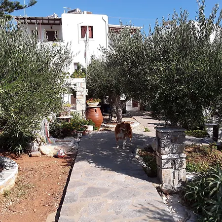 Sunset And For Adults Over 21 Only Nausa