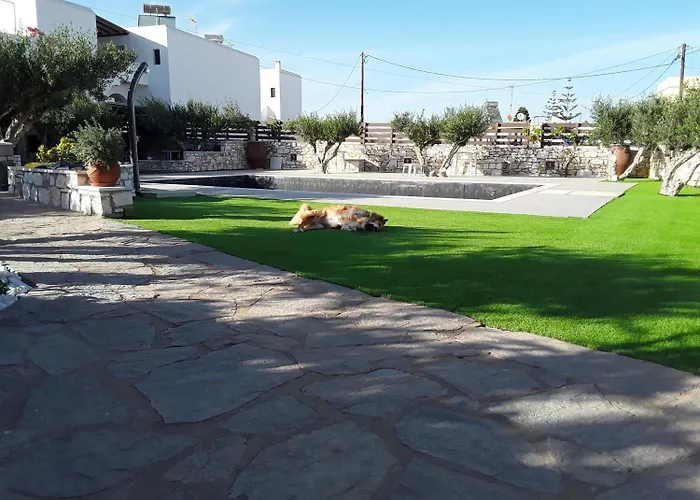 Sunset And For Adults Over 21 Only Apartment