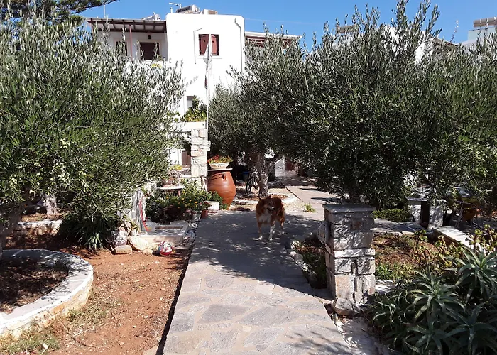 Sunset And For Adults Over 21 Only Naousa (Paros)